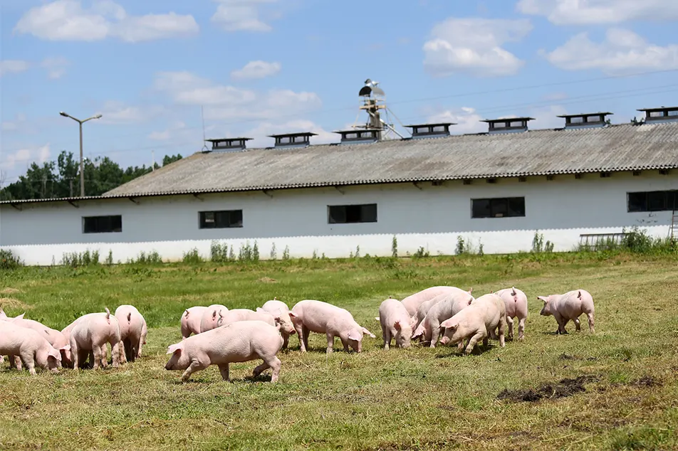 Kaasaegne seafarm vähe mitte need 6 sea varustust