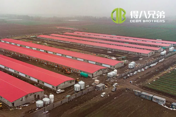 ãTäisrea projektãShandongi Zhucheng4800 emiste farm