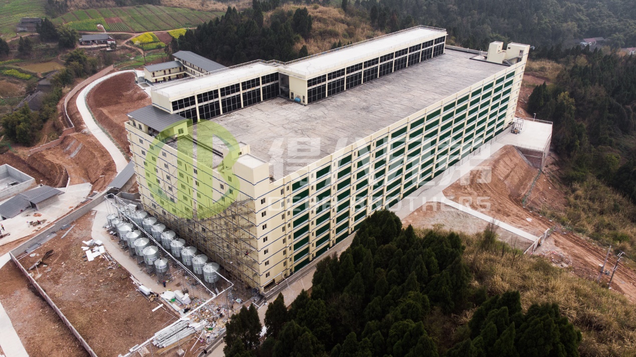 Kuidas parandada keskkonnakvaliteeti tänapäevases seafarmi disainis