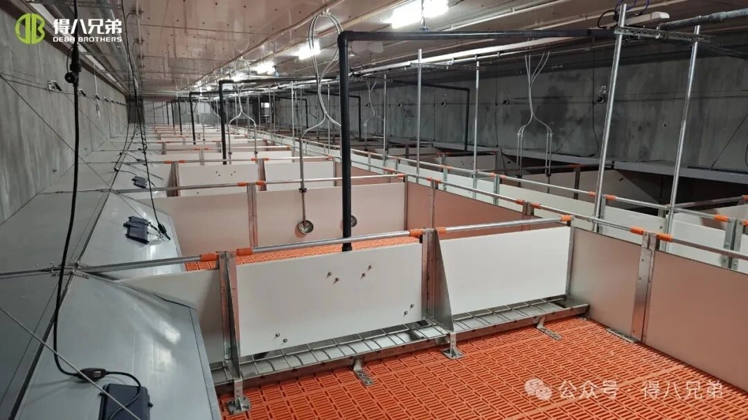 Kuumusstressi ennetamine ja juhtimine seafarmides kuuma ilmaga